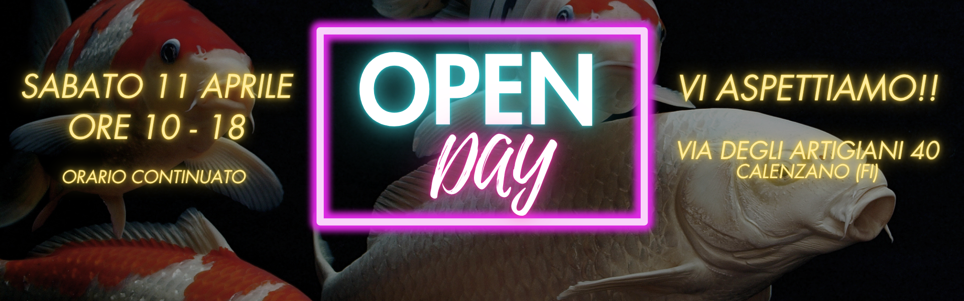 OpenDay 